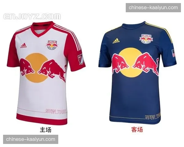 联盟赞助收入五年翻倍 球衣补丁广告成新增长点 联盟赞助收入五年翻倍 球衣补丁广告成新增长点